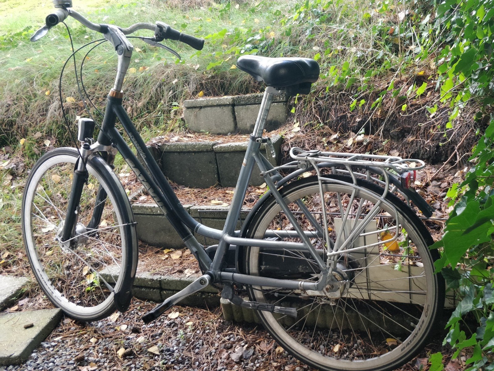 Batavus Crescendo Damesfiets, Fietsen en Brommers, Ophalen, Versnellingen, Batavus, Trommelrem