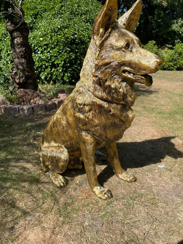 Beeld Duitse herder, Goud, honden, tuin, vijver 75 cm, Ophalen, Nieuw, Kunststof, Dierenbeeld