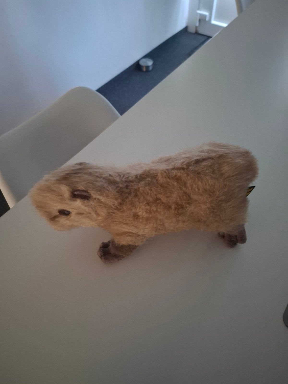 Diverse Pluchen Knuffeldieren - o.a. Capibara, Ophalen of Verzenden, Gebruikt, Meerkleurig, Overige typen
