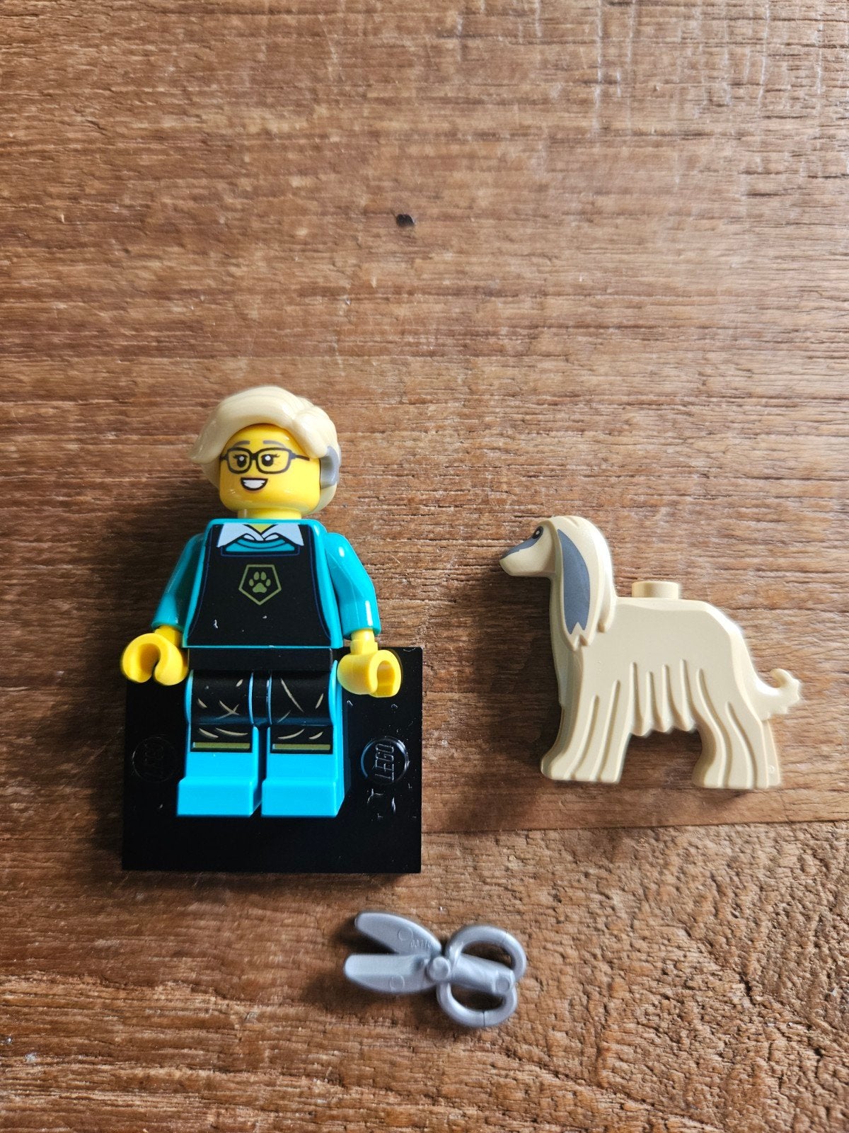 LEGO Minifiguur Dierenverzorger met Afghaanse Windhond, Verzenden