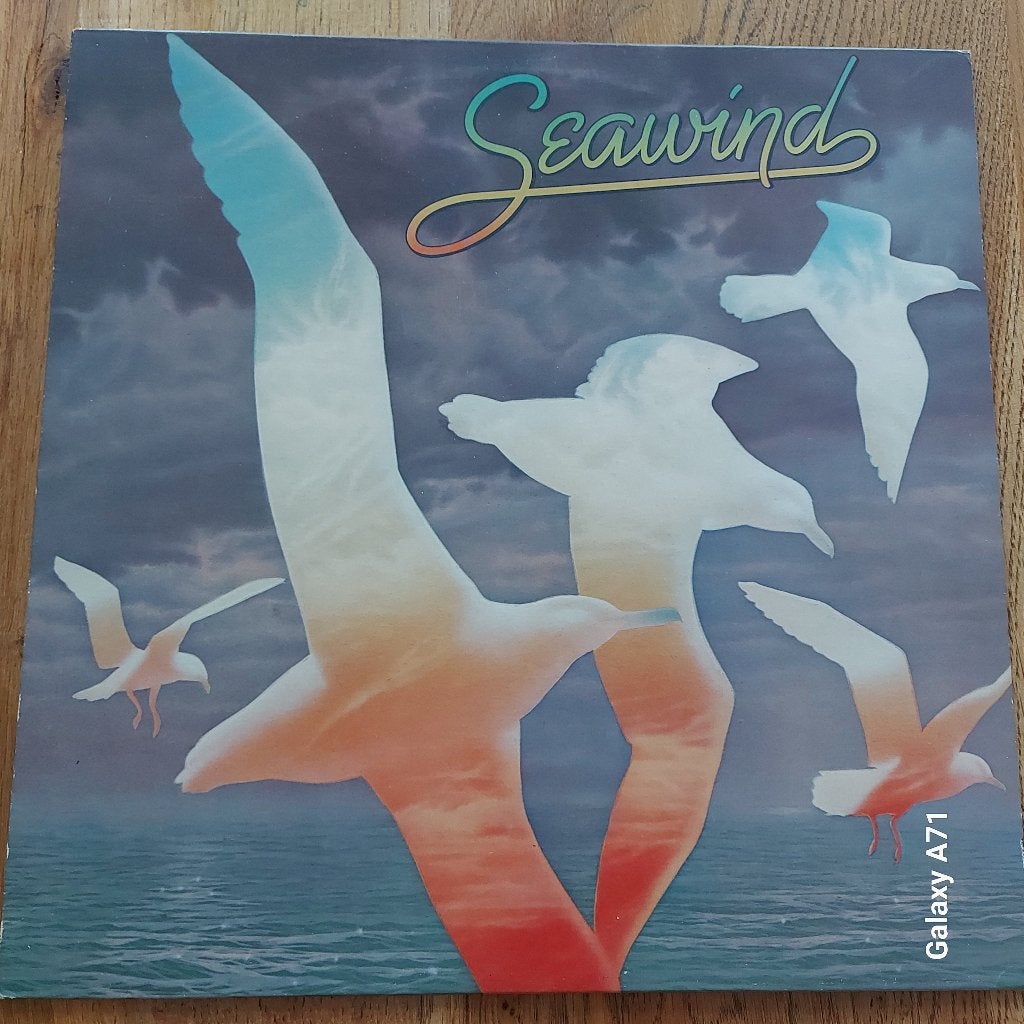 Rare LP Seawind - Seawind (1980), Gebruikt, 1980 - 1989, Ophalen of Verzenden, Fotohoes