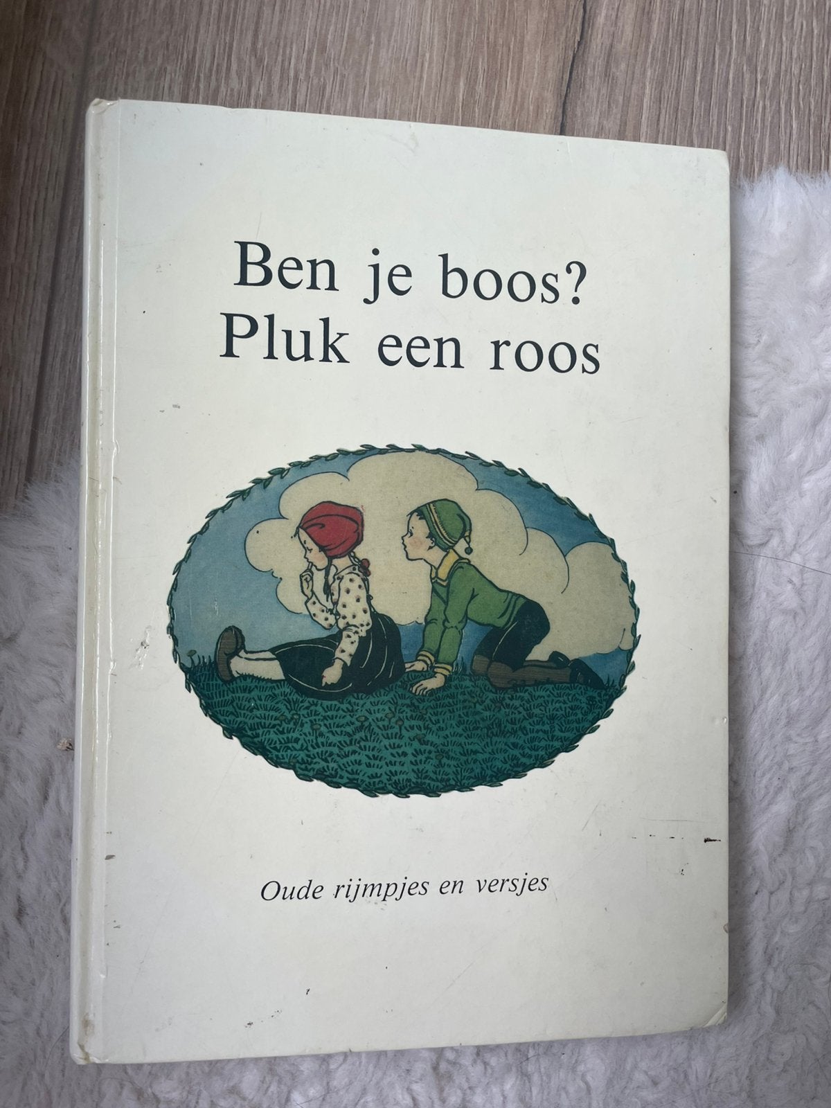 Boek, Ophalen of Verzenden, Zo goed als nieuw