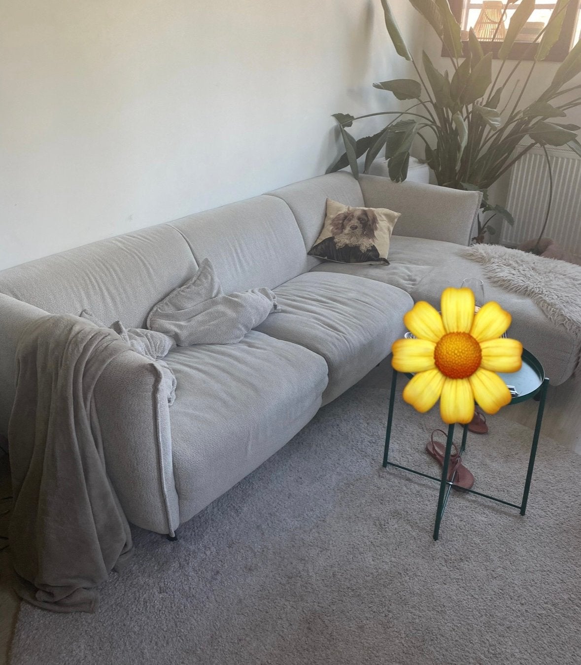Gebruikte bank gratis, Ophalen, 250 tot 300 cm, Gebruikt, 100 tot 125 cm