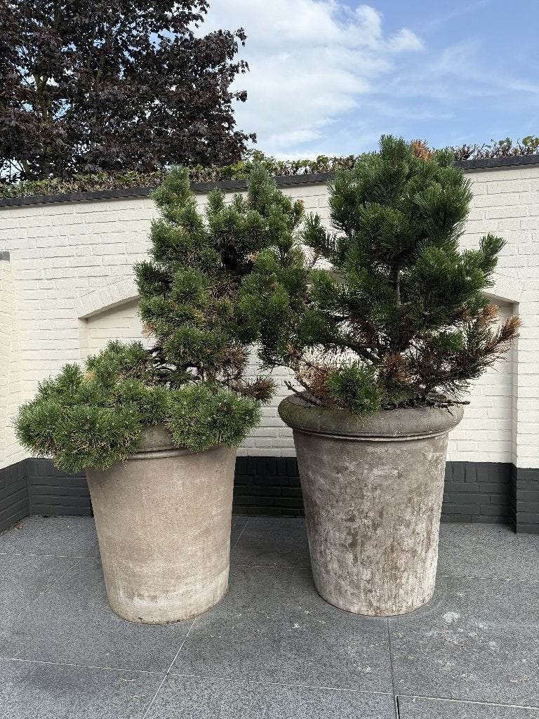grote buiten potten, Ophalen, Steen, Rond, Nieuw