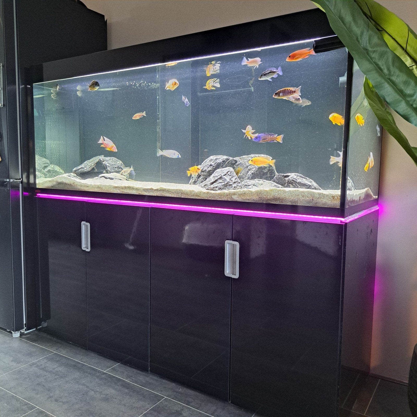 Eheim Incpiria super dikke aquarium 572 liter, Dieren en Toebehoren, Ophalen of Verzenden, Zo goed als nieuw, Leeg aquarium