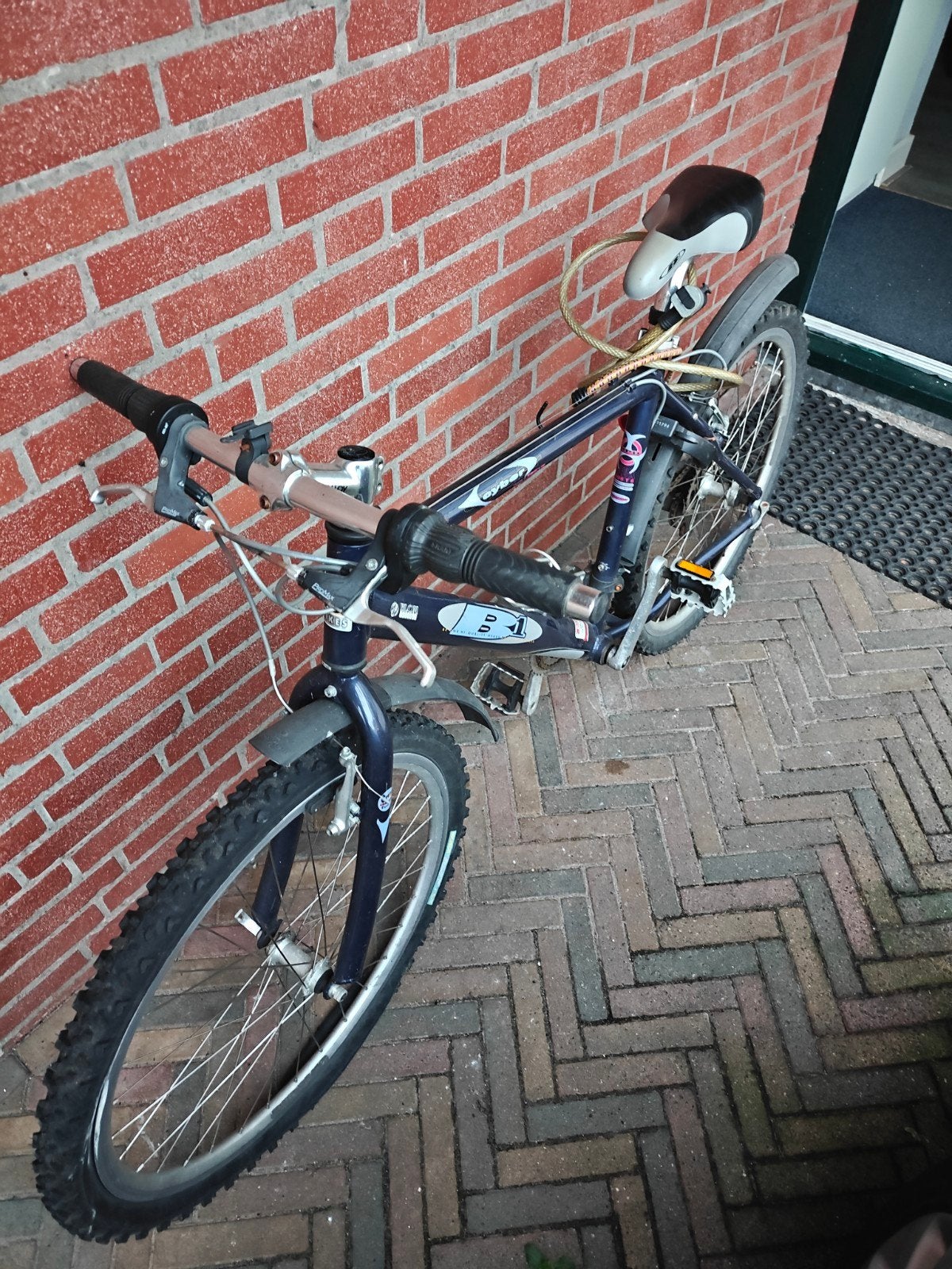 Gebruikte mountainbike, ideaal voor beginners, Gebruikt, Geen vering, 53 tot 57 cm, Ophalen