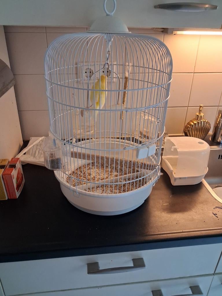 Vogelkooi rond, Ophalen, Zo goed als nieuw, Metaal, Vogelkooi