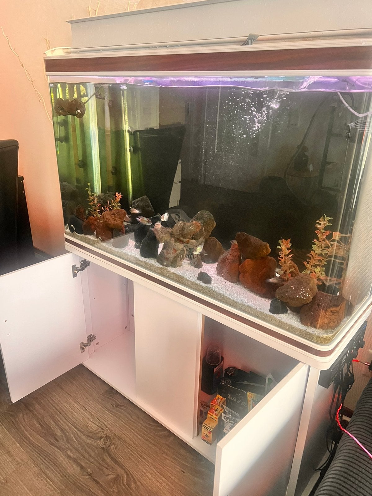 Aquarium heeft geen merk naam 300 Liter, Ophalen, Gebruikt, Overige merken, Gevuld zoetwateraquarium