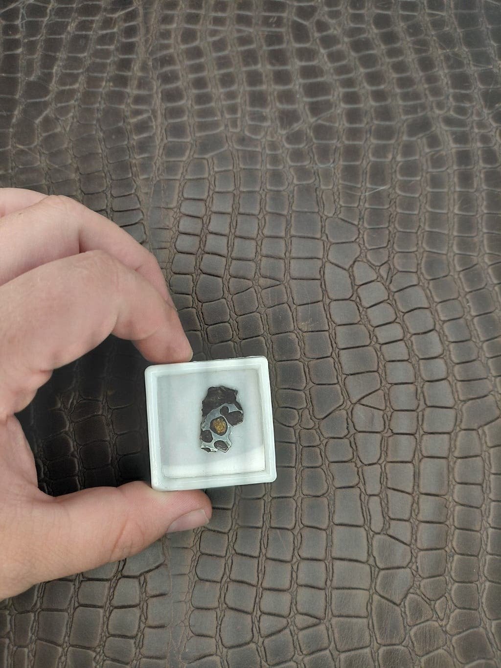Pallasite in meteoriet slice met mooie kristallen, Ophalen of Verzenden