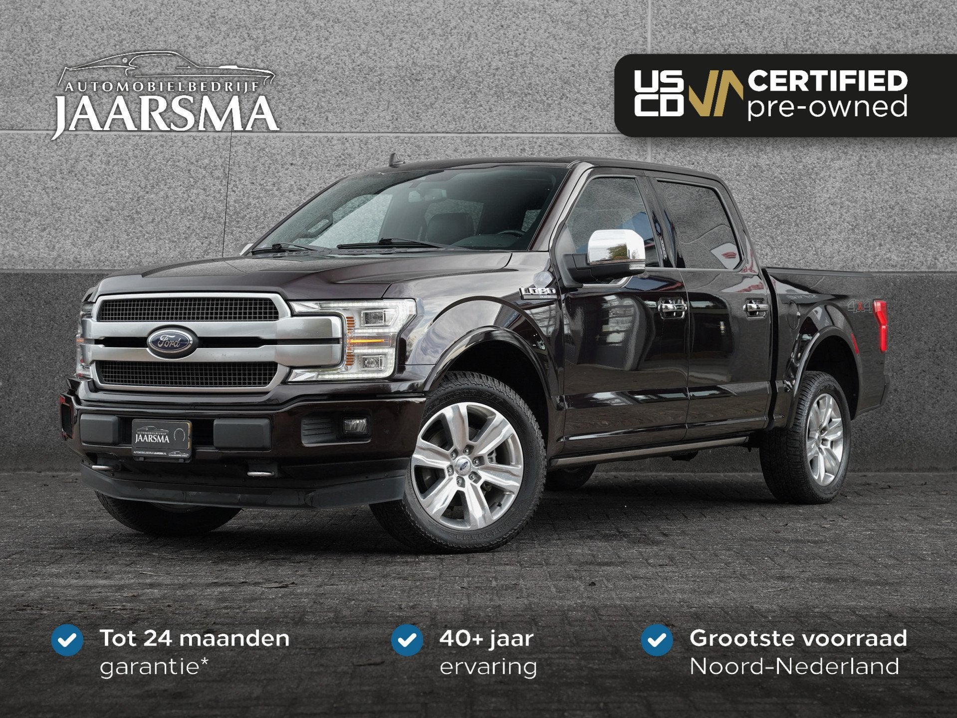 Ford USA F-150 Platinum 3.5 V6 Ecoboost SuperCrew |Cruise Co, Automaat, Gebruikt, Bruin, Bedrijf
