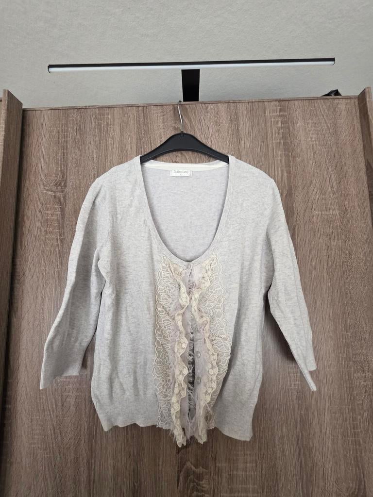 Dames vestje grijs, Ophalen of Verzenden, Zo goed als nieuw, Grijs, Trui of Vest