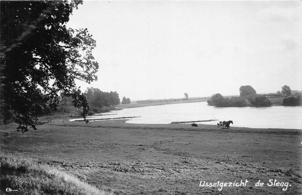 511 De Steeg - IJsselgezicht  Newo fotokaart, Verzenden, 1940 tot 1960, Ongelopen, Gelderland