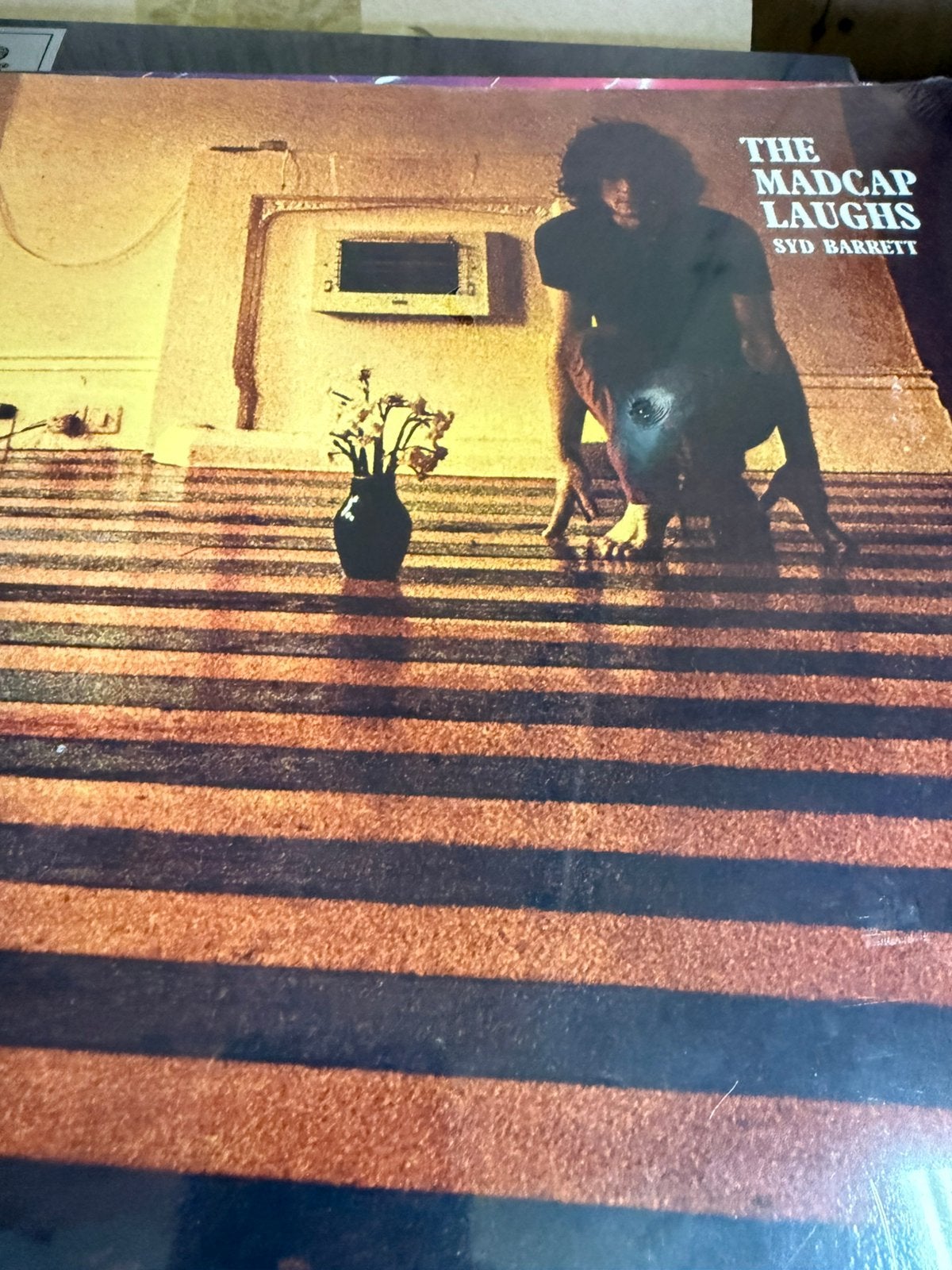 Lp syd barrett pink floyd the madcap laughs geseald, Ophalen of Verzenden, Zo goed als nieuw