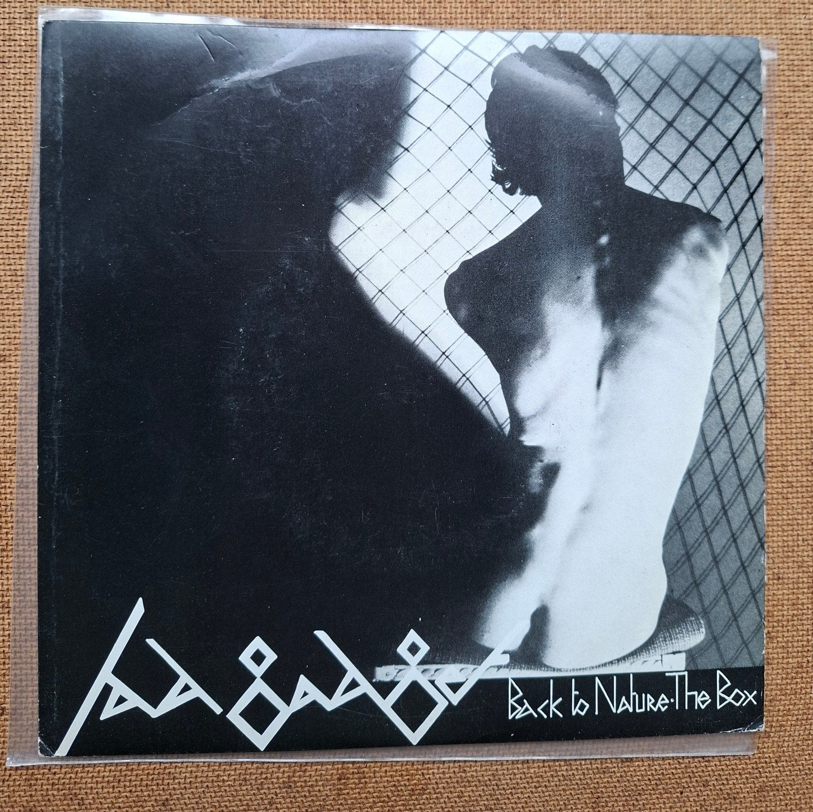 Fat Gadget  - Back to nature - Single is TOP, Ophalen of Verzenden, Gebruikt, 7 inch, Pop