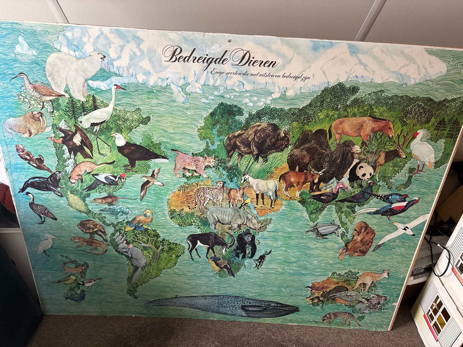 Vintage wandplaat 'Bedreigde Dieren' op hout, Antiek en Kunst, Antiek | Schoolplaten, Ophalen of Verzenden, Natuur en Biologie