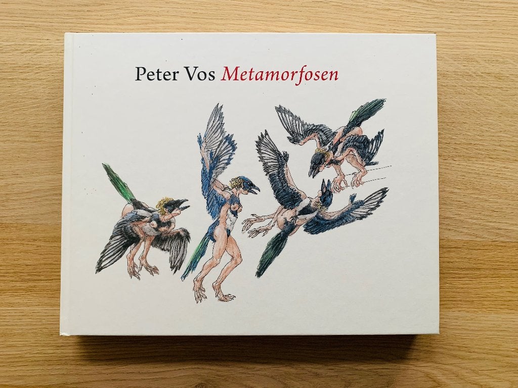 Boek van Peter Vos (Metamorfosen), Boeken, Ophalen of Verzenden, Zo goed als nieuw, Schilder- en Tekenkunst, Peter Vos