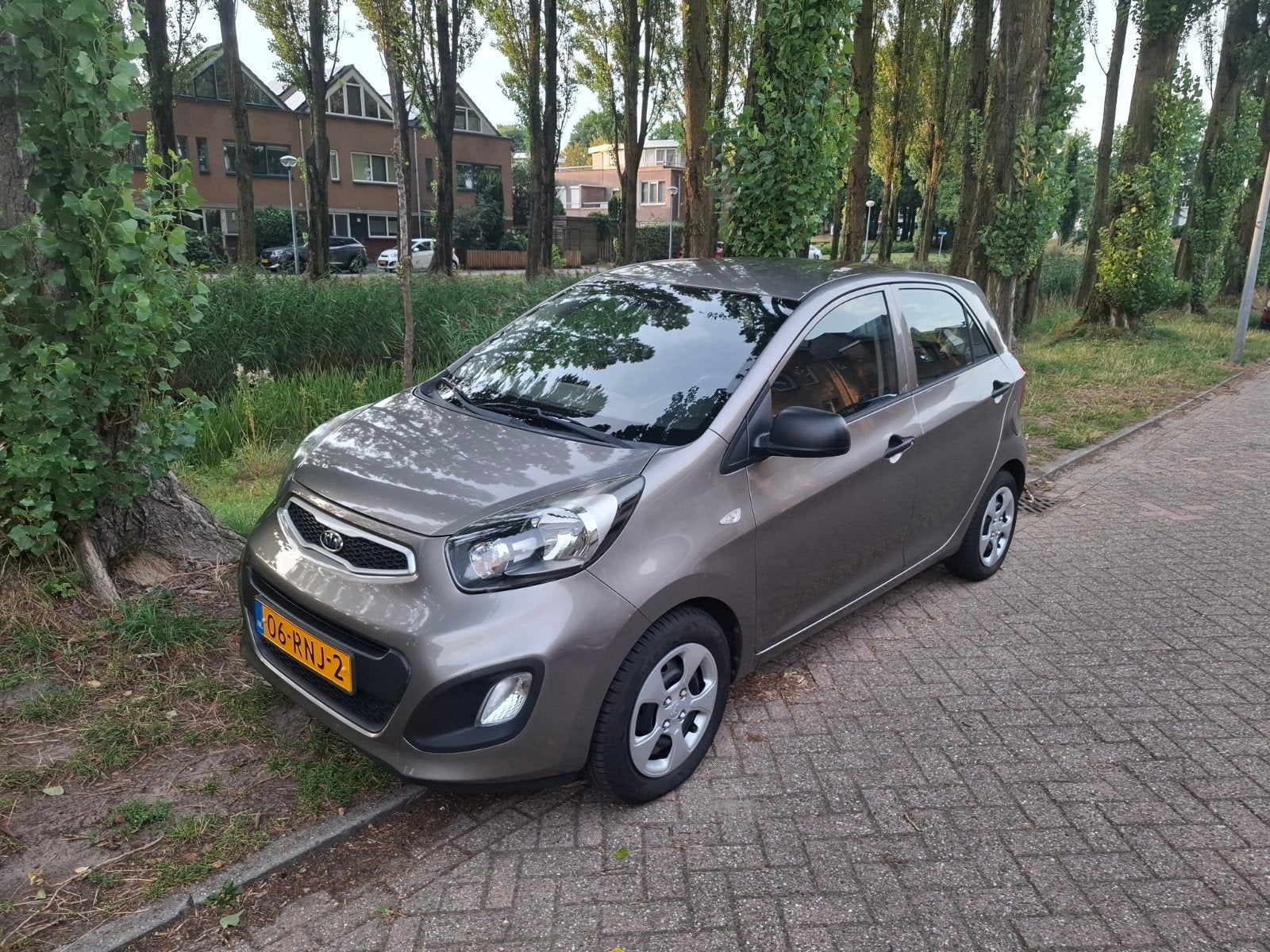 Kia Picanto 1.0 Cvvt 5-DRS 2012 Grijs