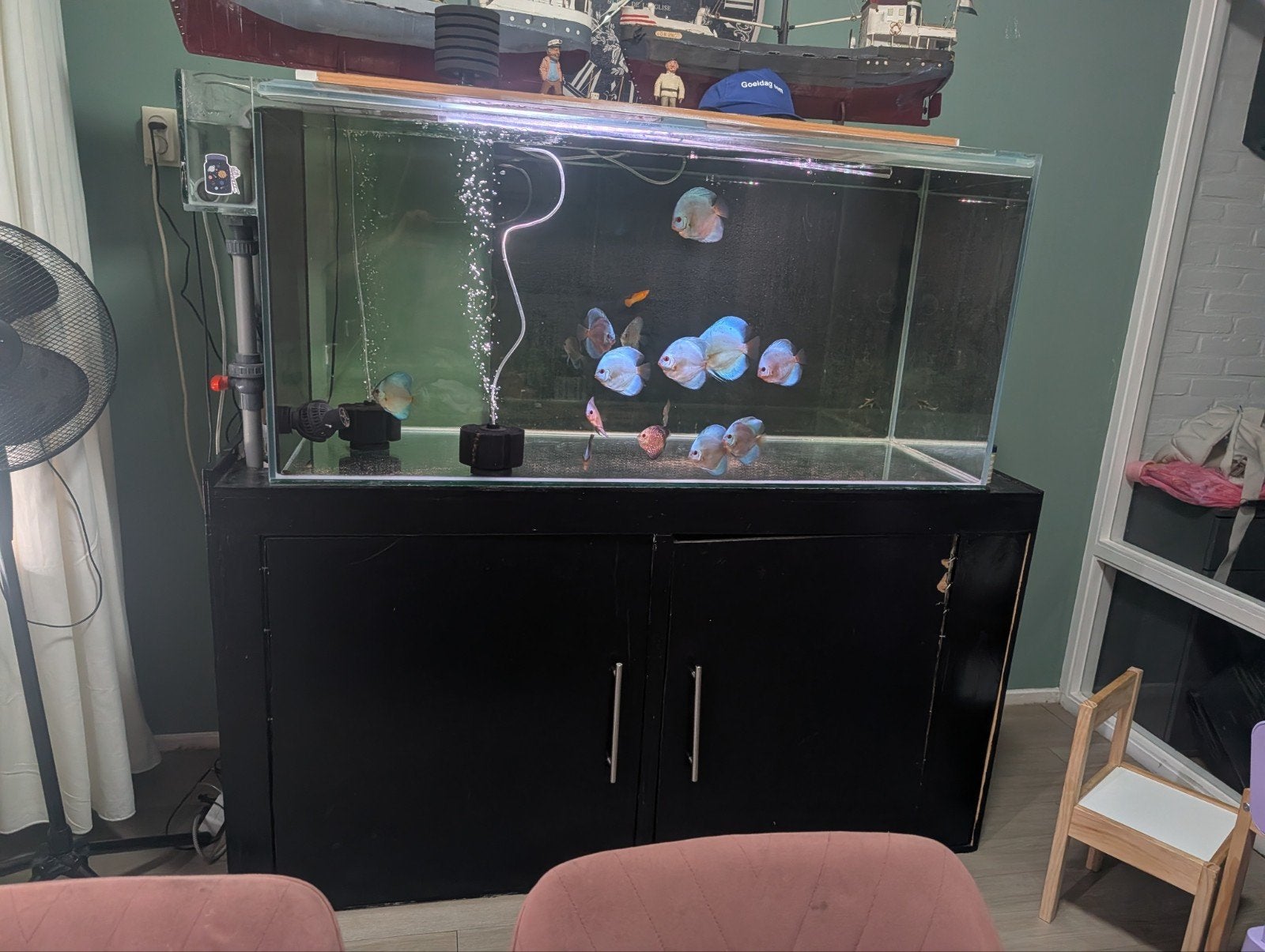 Prachtig Groot Aquarium 1000L + Sump + 14 discus vissen, Ophalen of Verzenden, Leeg aquarium