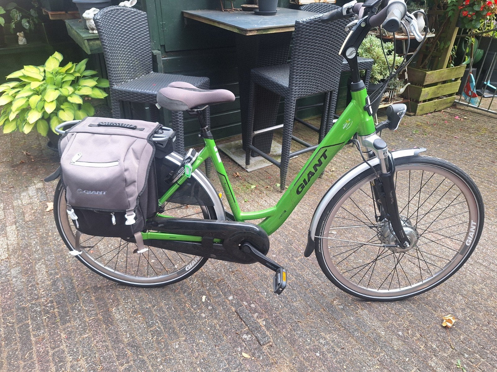 Giant Twist., Fietsen en Brommers, Elektrische fietsen, Ophalen, Gebruikt, Giant, 59 cm of meer