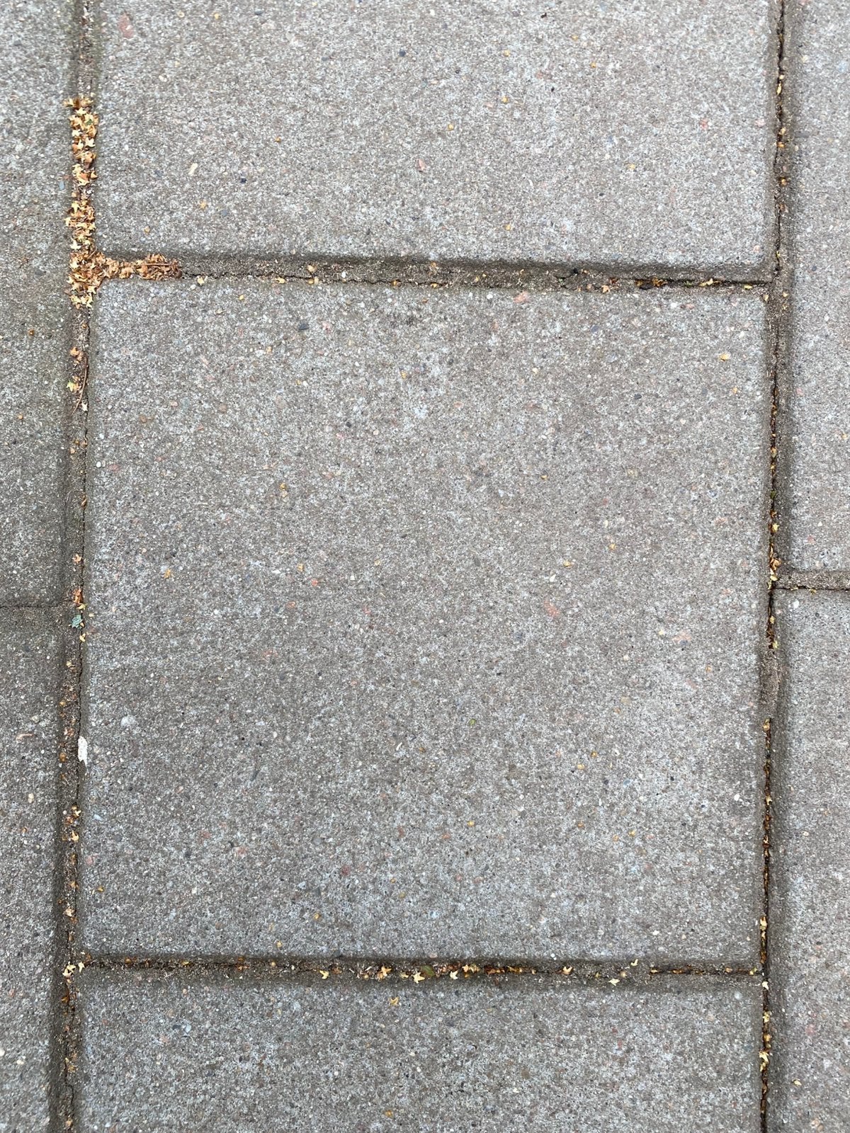 GRATIS stoeptegels 290 stuks 30 x 30 x 4 cm, Ophalen, Zo goed als nieuw, Beton, Terrastegels