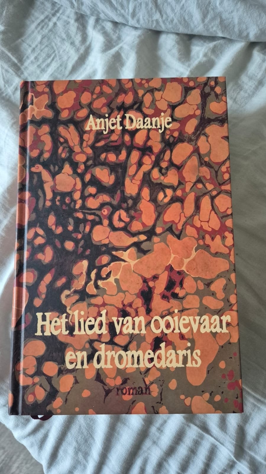 Het lied van ooievaar en dromedaris van Anjet Daanje zgan, Boeken, Ophalen of Verzenden, Zo goed als nieuw