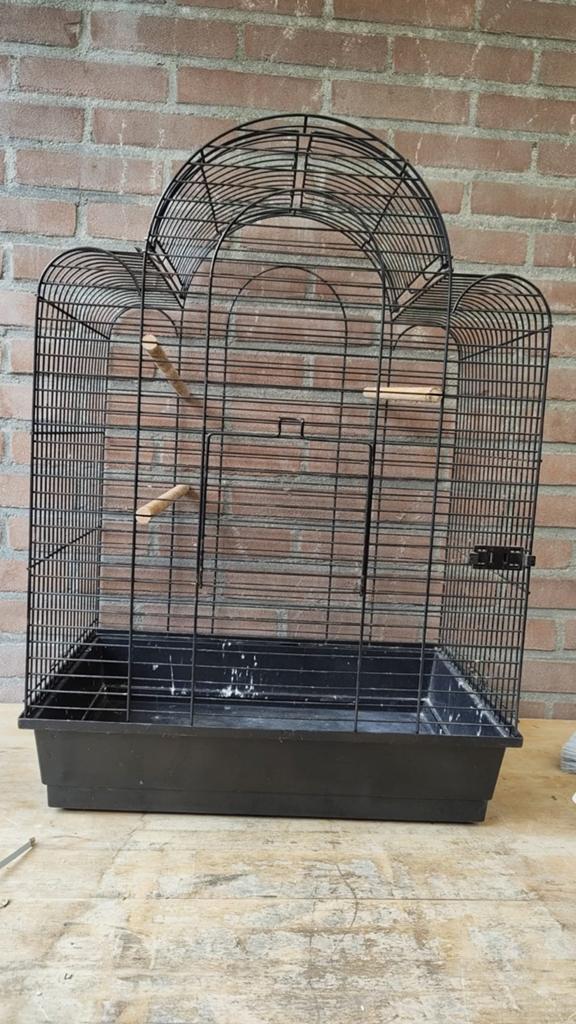 Vogelkooi, Ophalen of Verzenden, Gebruikt, Metaal, Vogelkooi