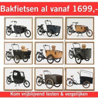 Betaalbare elektrische bakfiets & bakfietsen voor gezinnen, Fietsen en Brommers, Fietsen | Bakfietsen, Overige merken, 4 kinderen of meer