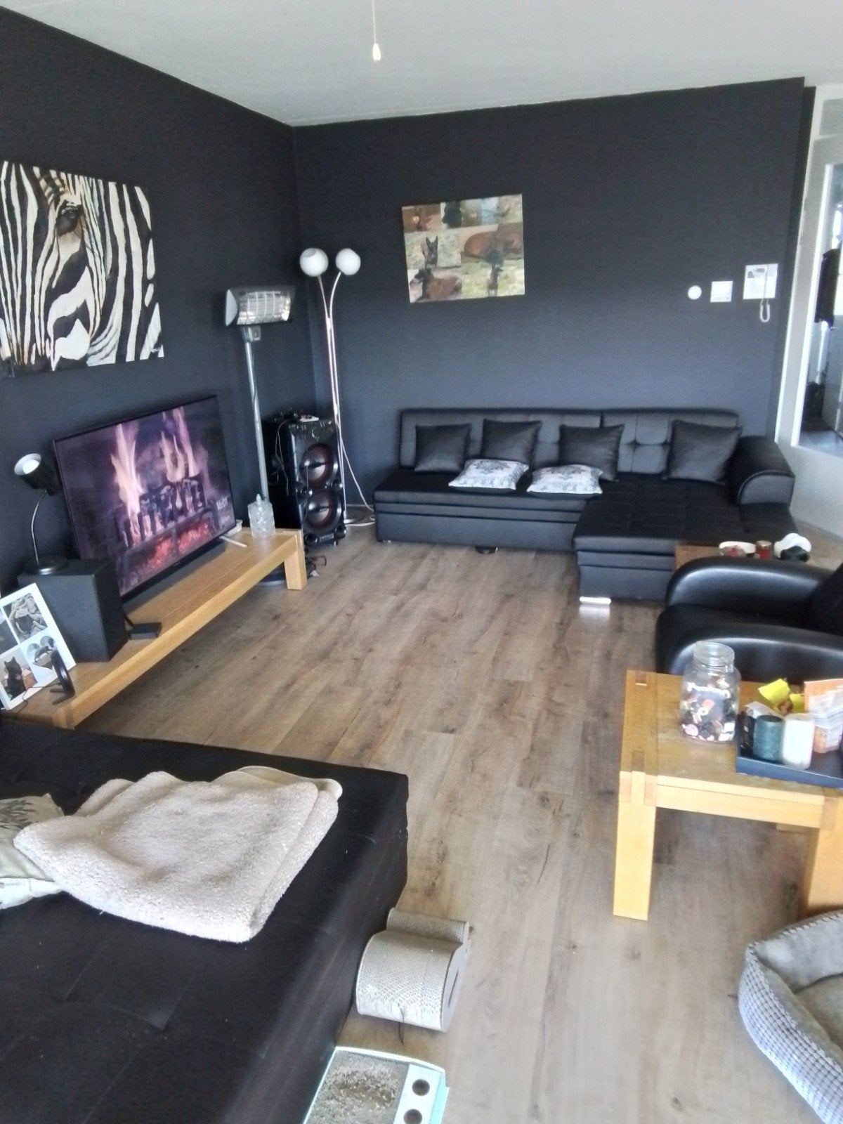 Gezellige Appartement Kamergenote ☺️