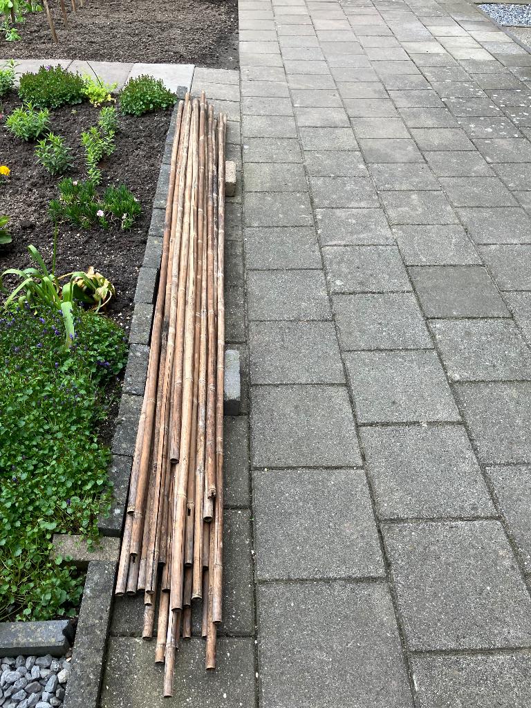 Bamboestokken Bonenstaken, Ophalen, Gebruikt, Overige typen