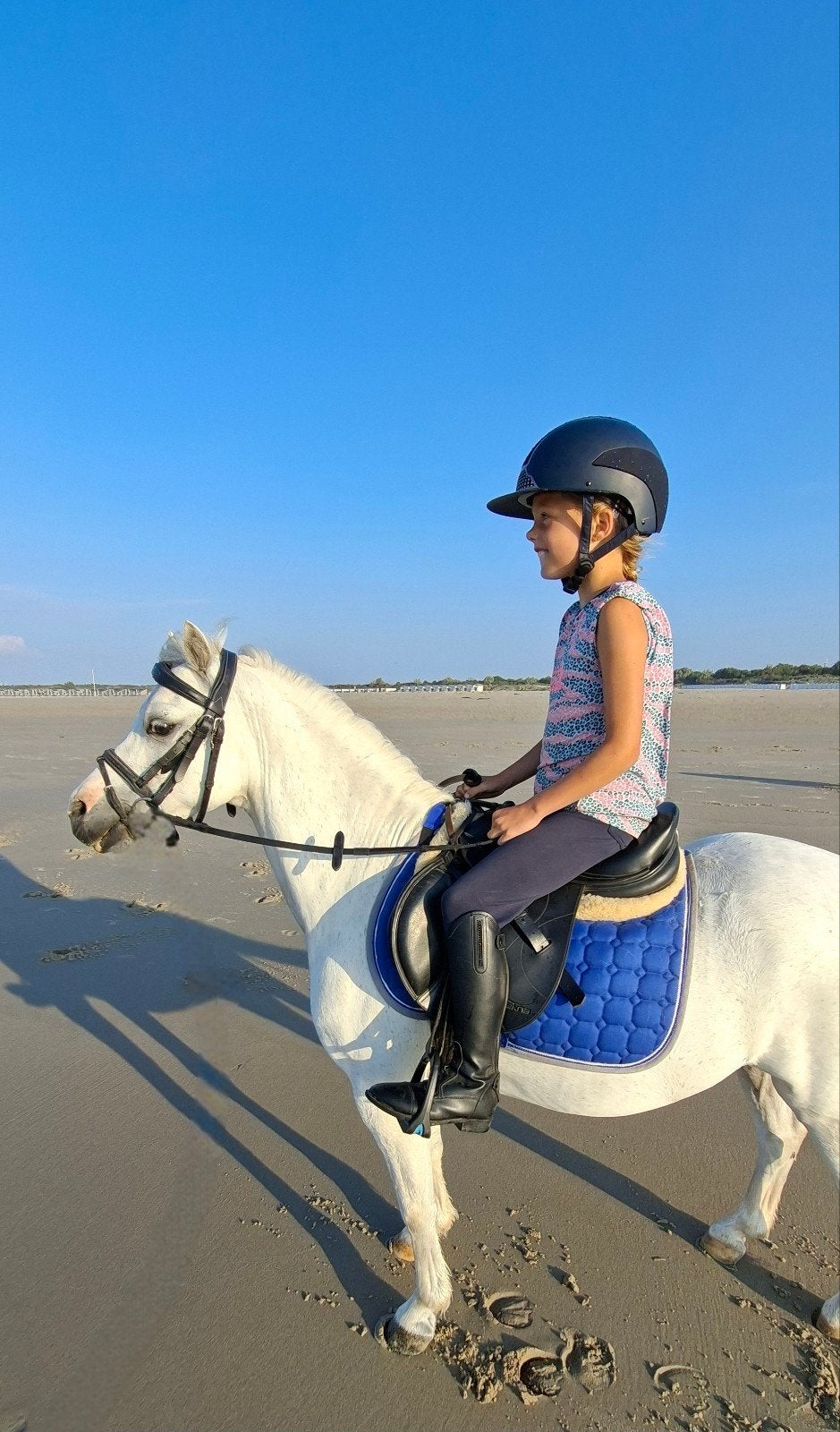 Lieve, knappe welsh ruin, Dieren en Toebehoren, Pony's, Ruin, A pony (tot 1.17m), 11 jaar of ouder