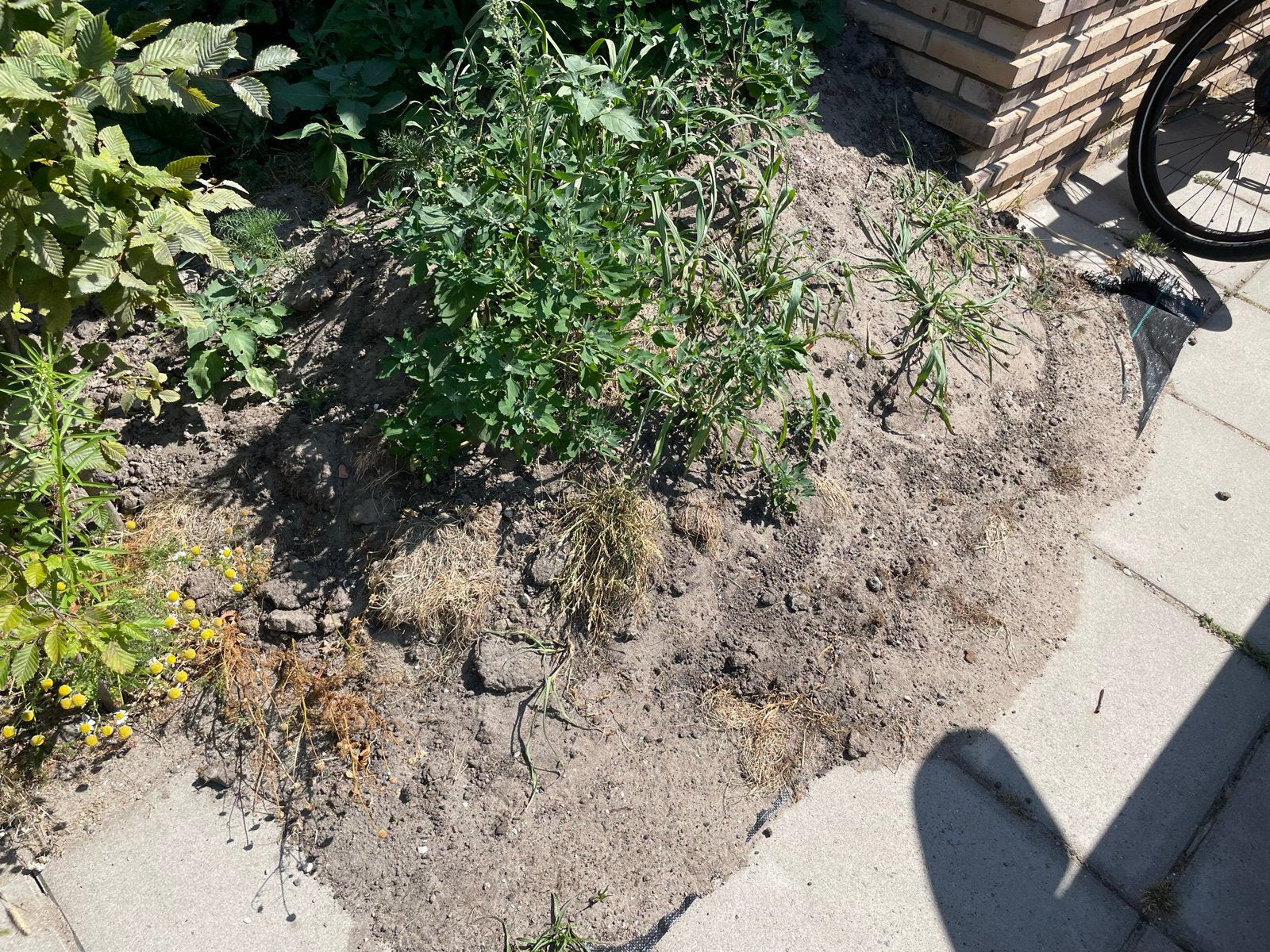 Gratis schoneTuinaarde af te halen, Tuin en Terras, Aarde en Mest, Ophalen, Tuinaarde