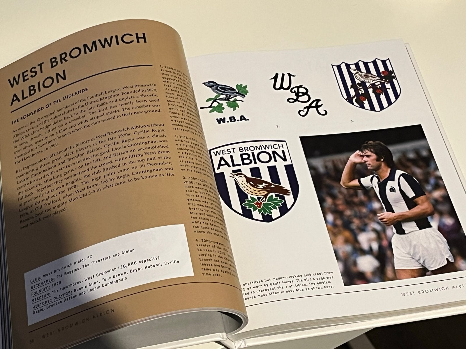 Foto 2 van World Football Club logo’s - Nieuw Boek