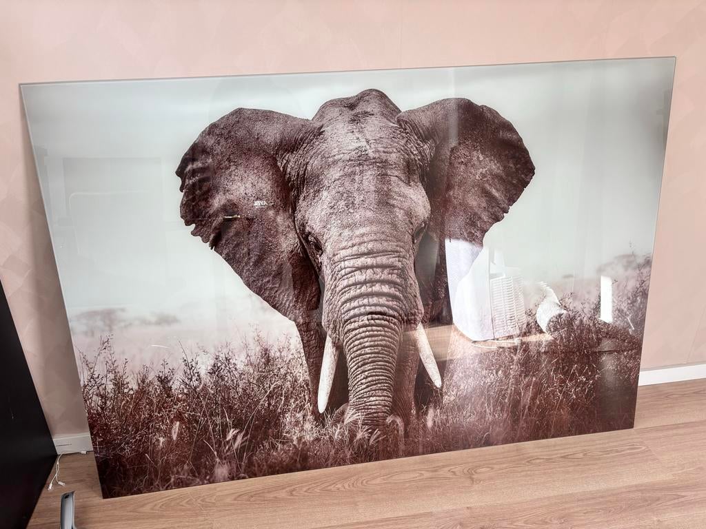 Glazen schilderij olifant - 120x80 cm, Ophalen