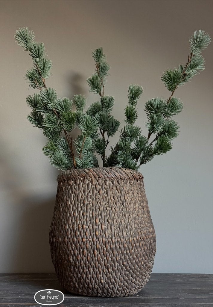 Kerst tak ceder kunst cedrus kersttak stoer sober landelijk, Groen, Verzenden, Countryfield, Handgemaakt