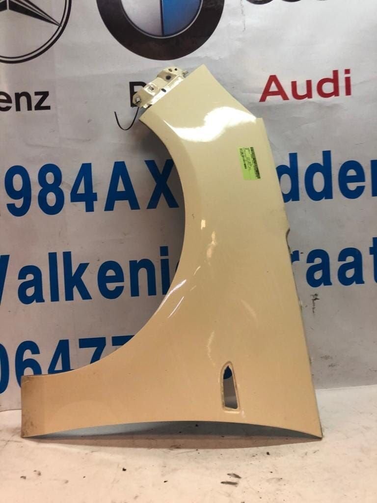 Scherm links voor van een Opel Zafira  B000910680, Gebruikt, -, -, Opel
