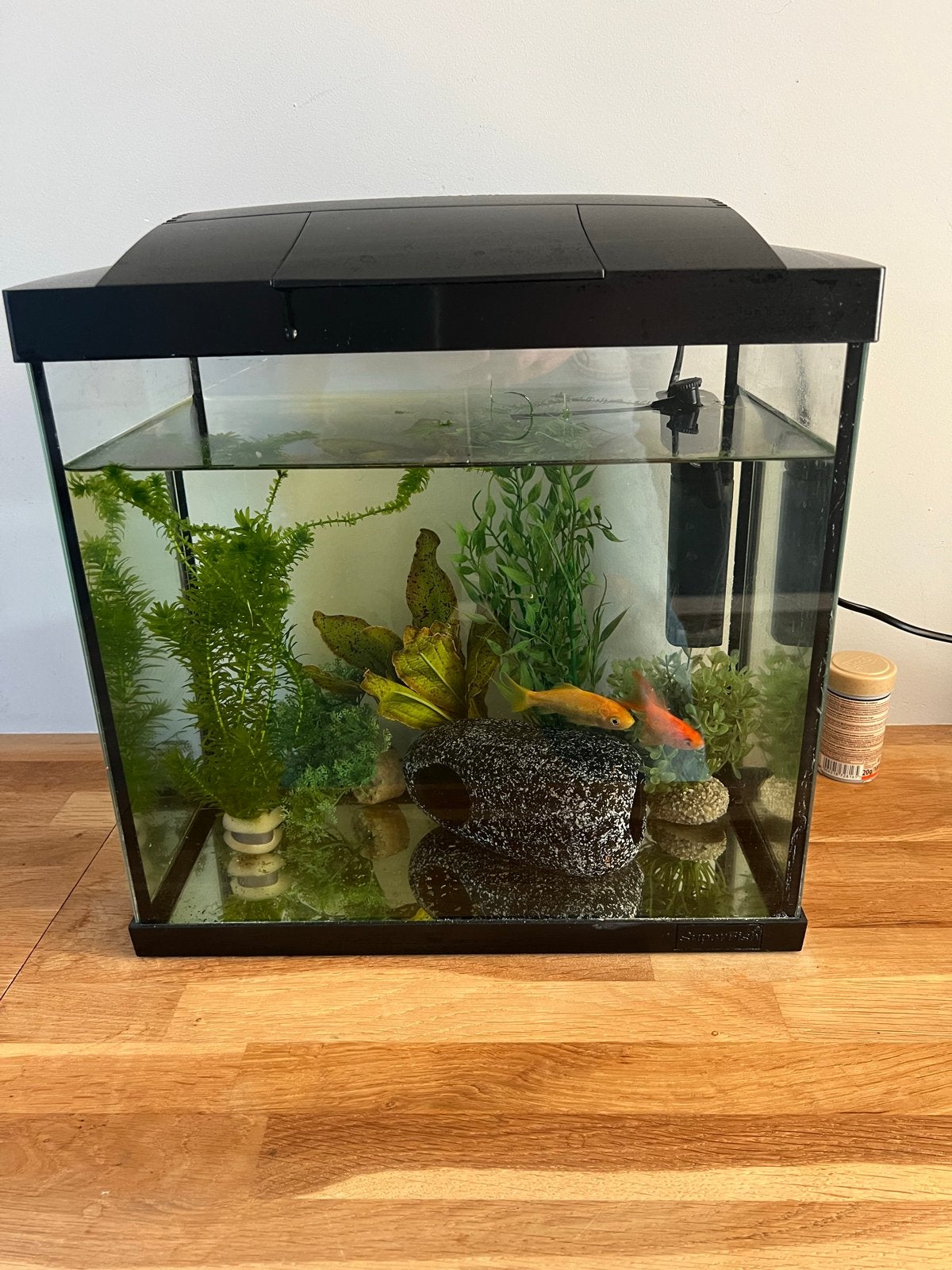 Aquarium met drie visjes en pomp, Ophalen, Inclusief vissen, Superfish, Gevuld zoetwateraquarium