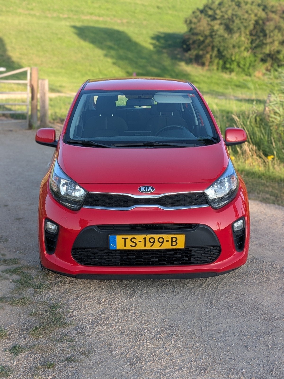 Kia Picanto 1.0 Cvvt 67pk 5-zits 2018 Rood, Auto's, Voorwielaandrijving, Stof, Zwart, Origineel Nederlands