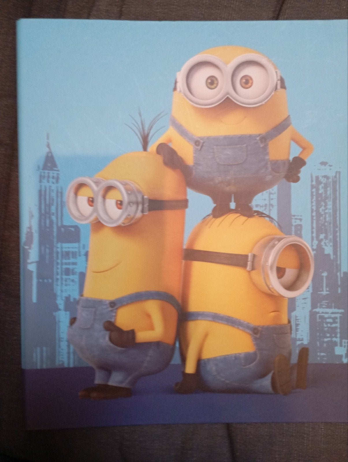 Minions spullen, Ophalen of Verzenden