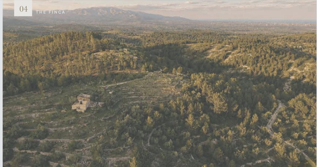 Masía in Catalonië met vergunningen en architectenplannen, Huizen en Kamers, Woonhuis, Verkoop zonder makelaar, Landelijk, Spanje