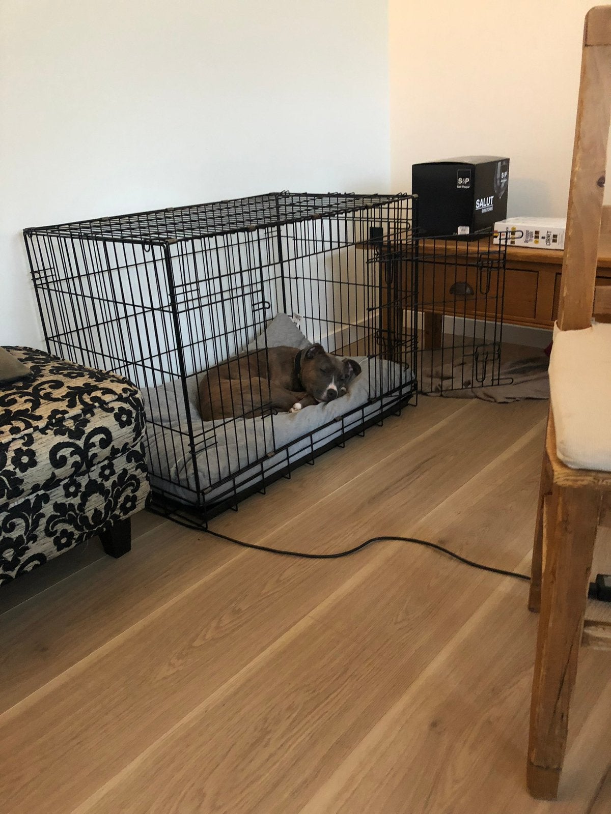 Honden bench met kussen, Dieren en Toebehoren, Ophalen, Gebruikt