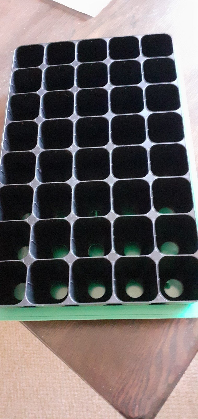 Nieuwe zaaitray met onderbak voor jaren plezier mat, Ophalen, Nieuw, Overige typen