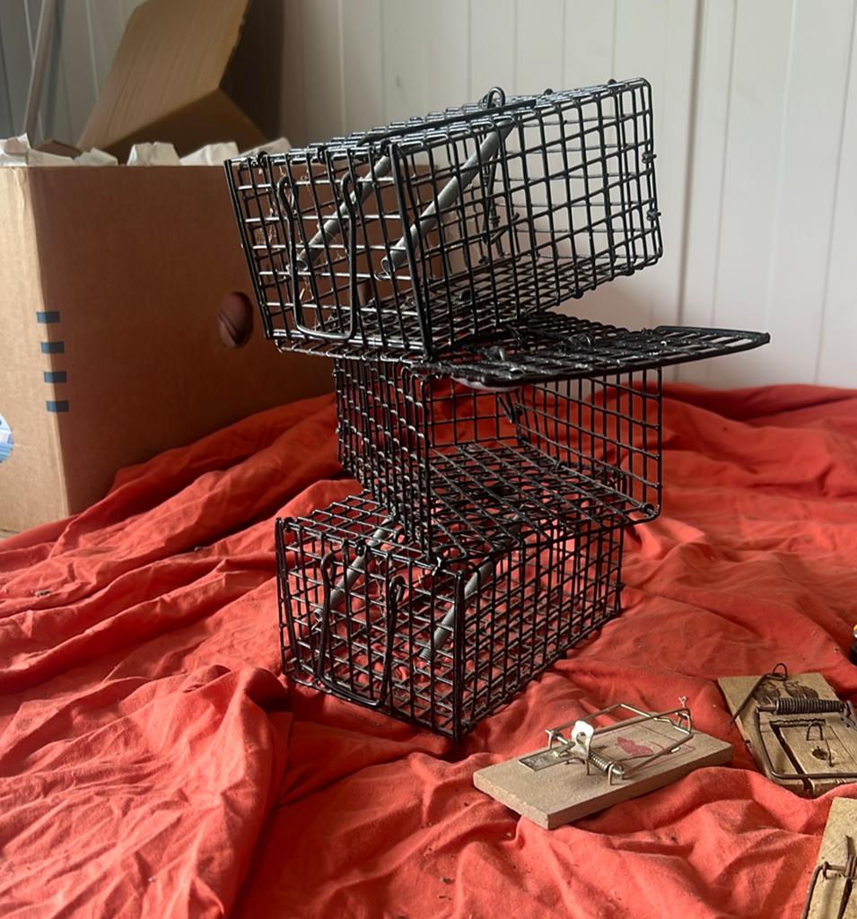 Ratten en muizen vallen, Ophalen
