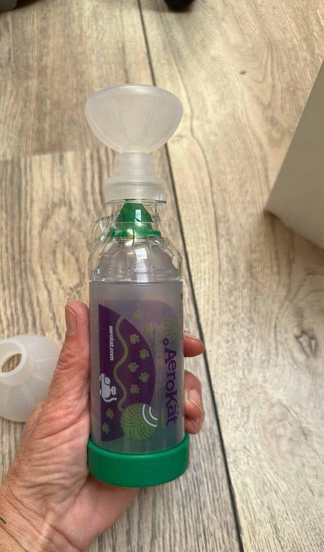 Aerokat inhalator, Dieren en Toebehoren, Ophalen of Verzenden, Nieuw