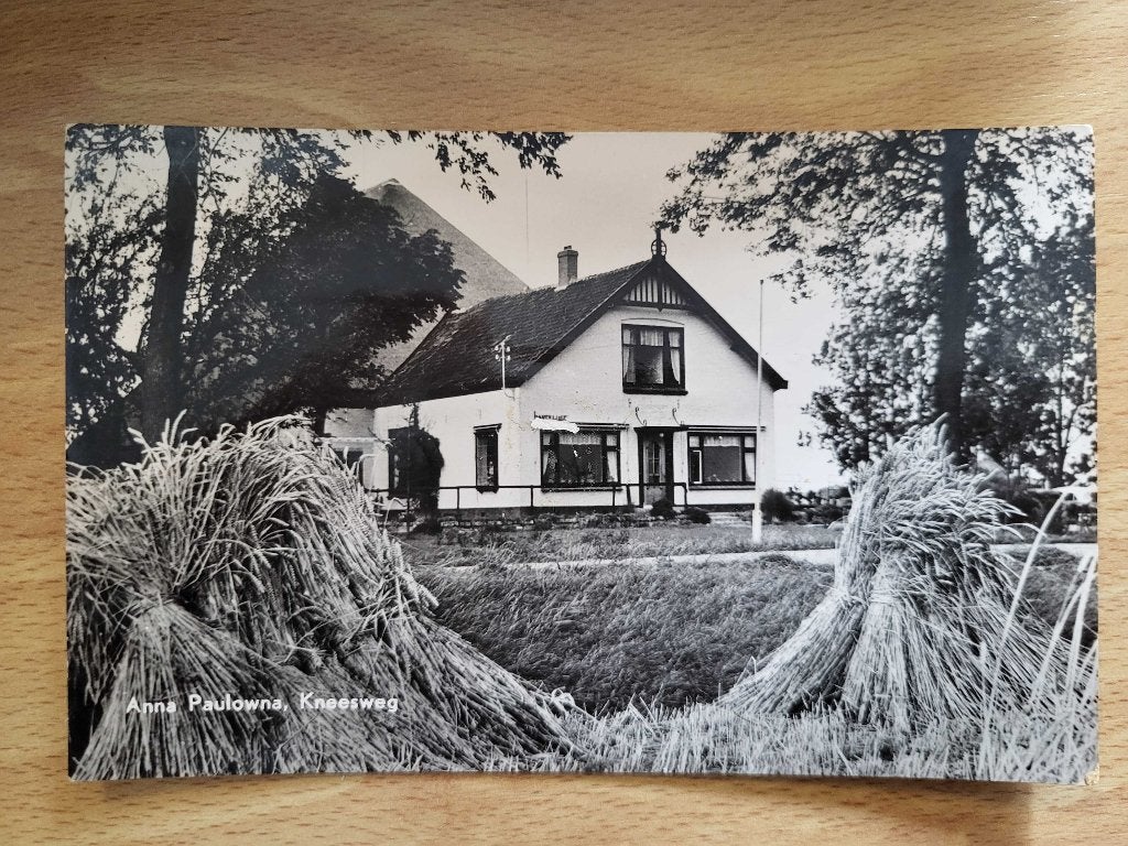 ansicht Anna Paulowna Kneesweg, Ophalen of Verzenden, Voor 1920, Noord-Holland