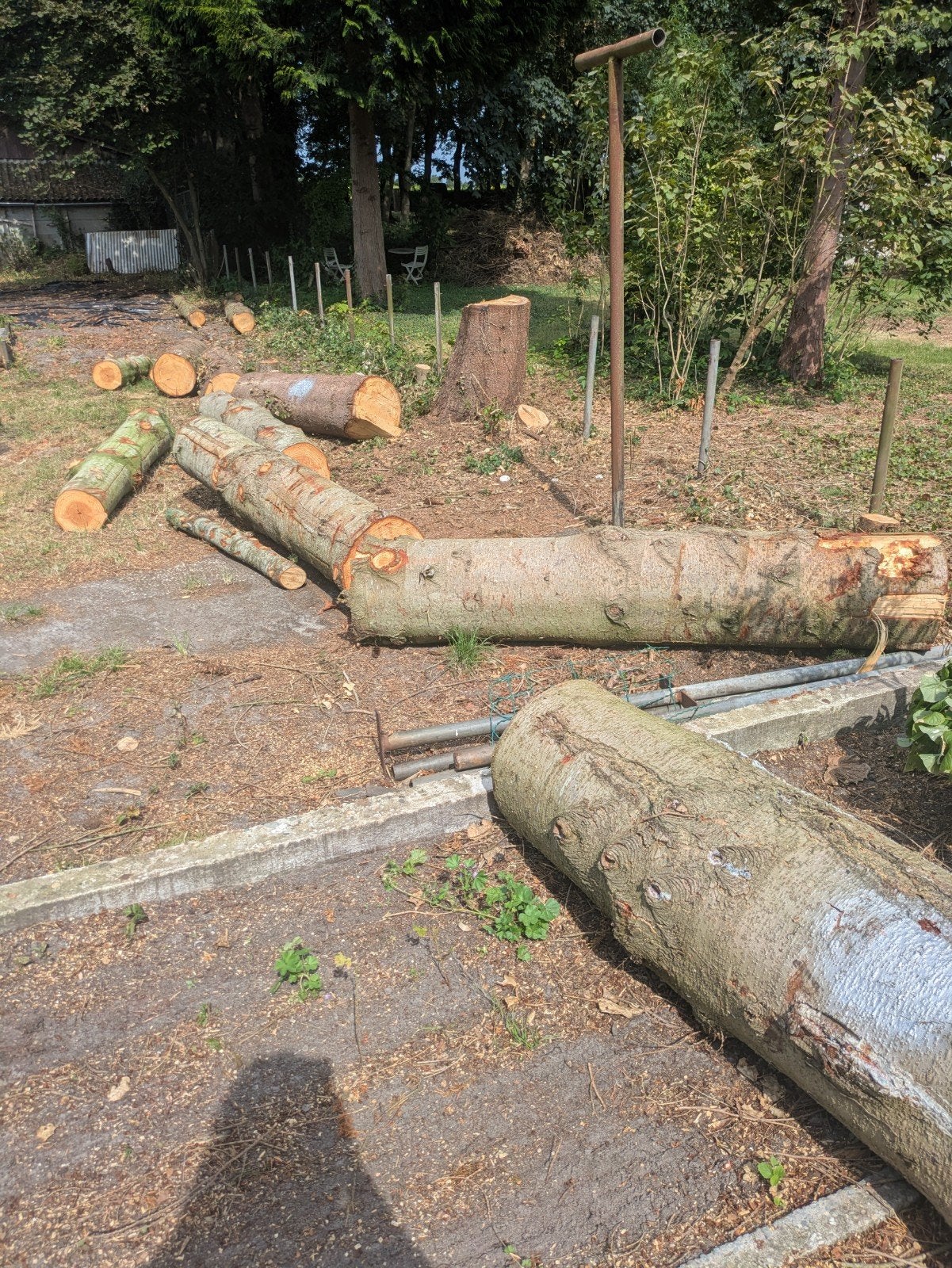Brandhout / Haardhout - Diverse Houtsoorten, Tuin en Terras, Haardhout, Ophalen, Stammen