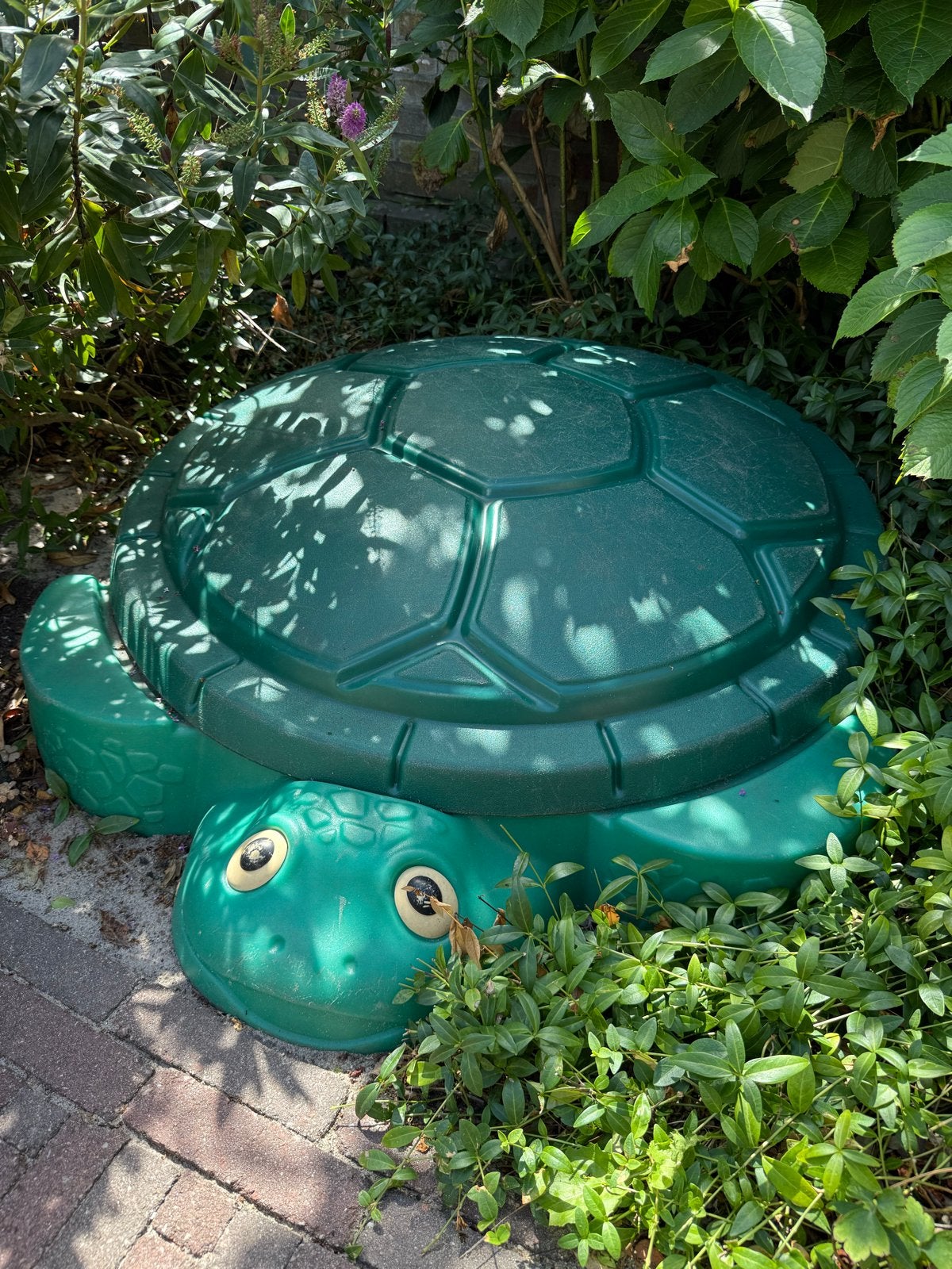 Schildpad zandbak met deksel, Ophalen, Gebruikt