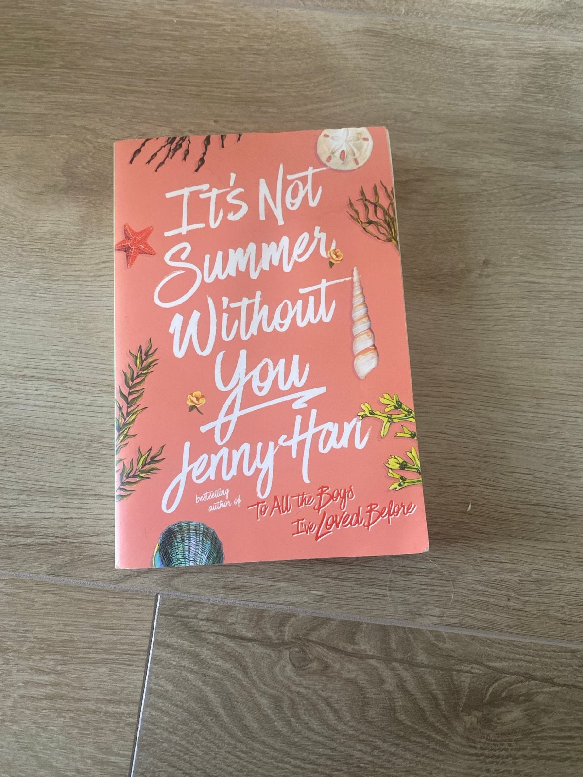 It's Not Summer Without You - Jenny Han (Engels), Boeken, Ophalen of Verzenden, Zo goed als nieuw, Amerika
