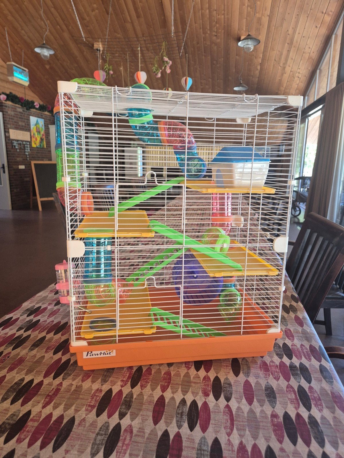 NIEUW ! Kooi voor een knaagdier., Minder dan 60 cm, Kooi, Ophalen of Verzenden, Minder dan 75 cm
