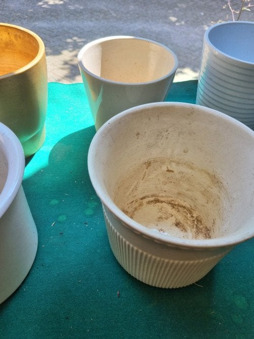 Bloempotten wit creme goud verschillende, Ophalen of Verzenden, 'T Olde Gre-j, Info@toldegrej.nl, Endepoelstraat 20f Didam