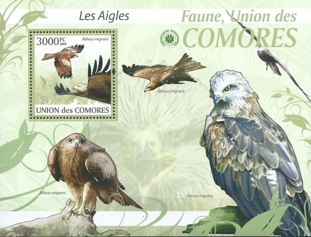 Vogels - Comoren - Mi blok 520 -Postfris, Ophalen of Verzenden, Postfris, Dier of Natuur